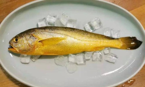 鸡脯肉有营养吗 吃鸡脯肉和纯瘦肉哪个更有营养-【鸡脯肉热量高吗】鸡脯肉含蛋白质多吗 - 鸡脯肉含脂肪吗网