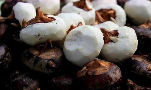鸡脯肉含脂肪吗百度百科-【鸡脯肉热量高吗】鸡脯肉含蛋白质多吗 - 鸡脯肉含脂肪吗网